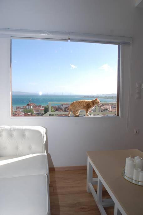 360ᵒ Lepanto Apartment Nafpaktos Exterior photo